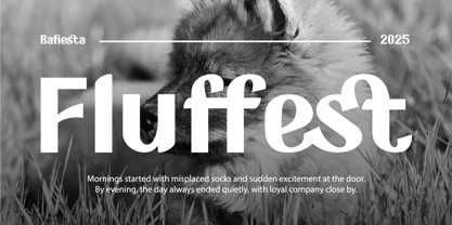 Rafiesta Font Poster 3