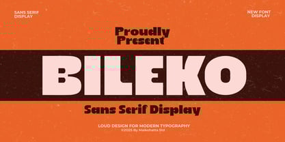 Bileko Font Poster 1