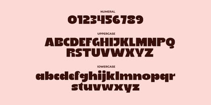 Bileko Font Poster 6