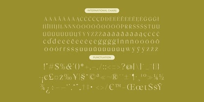 Bigest Karath Font Poster 15