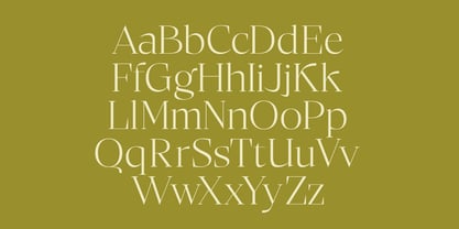 Bigest Karath Font Poster 13