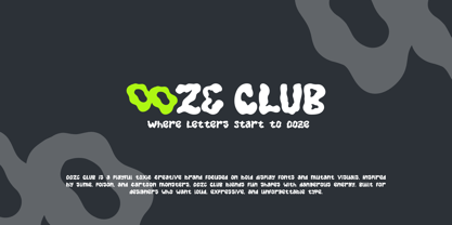 FA Noshik Font Poster 6