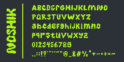FA Noshik Font Poster 7