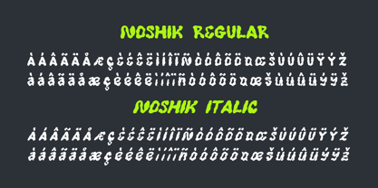 FA Noshik Font Poster 8