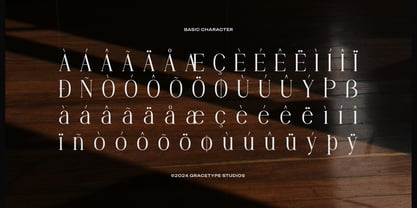 Angdiva Font Poster 11
