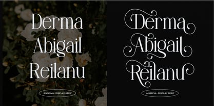 Angdiva Font Poster 6