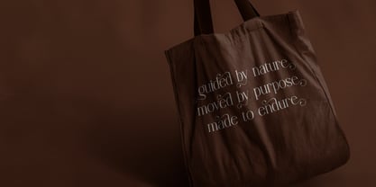 Angdiva Font Poster 9