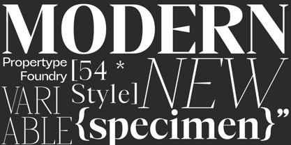 Mustank Serif Font Poster 8