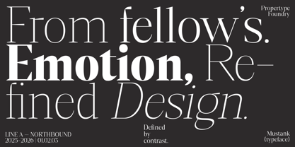 Mustank Serif Font Poster 2