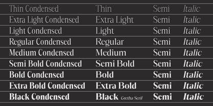 Mustank Serif Font Poster 12