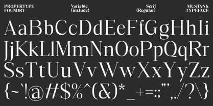 Mustank Serif Font Poster 14