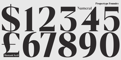 Mustank Serif Font Poster 13