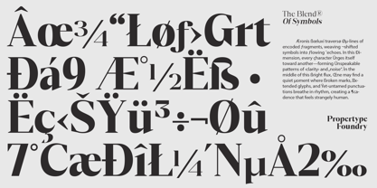 Mustank Serif Font Poster 5