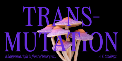 Dickens Font Poster 9