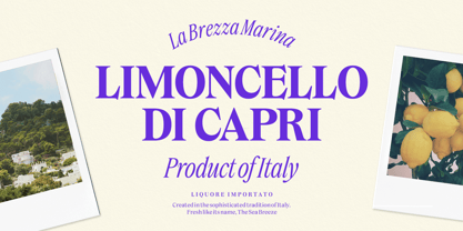 Dickens Font Poster 10