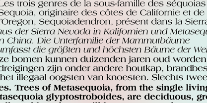 Americana Font Poster 5