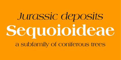 Americana Font Poster 7