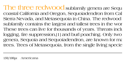 Americana Font Poster 8