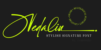 Nedalin Font Poster 1
