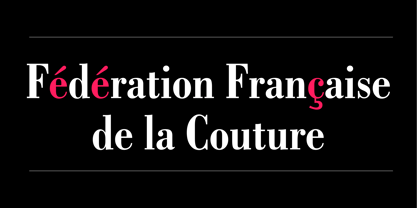 Bodoni Font Poster 4