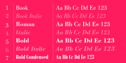Bodoni Font Poster 5