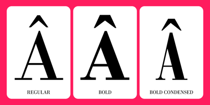 Bodoni Font Poster 6