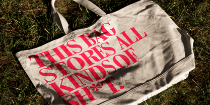 Bodoni Font Poster 7