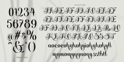 Maffisoy Font Poster 10