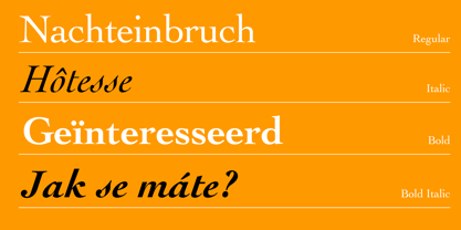 Cochin Font Poster 11