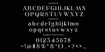 Radeyn Font Poster 8