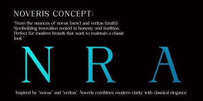 Noveris Forma Font Poster 2