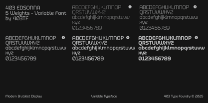 403 Edsonna Font Poster 4