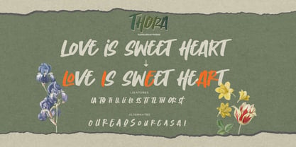 Thora Font Poster 8