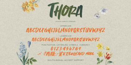 Thora Font Poster 7