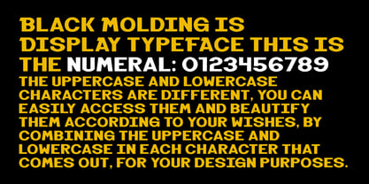 Black Molding Font Poster 15
