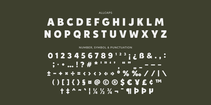 Antarie Atelira Font Poster 13