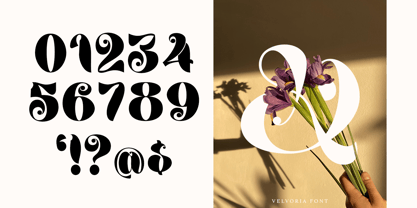Velvoria Font Poster 6
