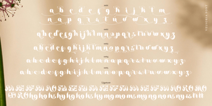 Velvoria Font Poster 10