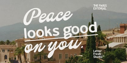 The Paris Editorial Script Font Poster 8
