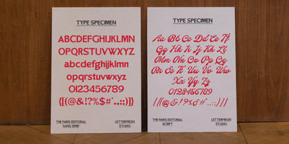 The Paris Editorial Script Font Poster 11