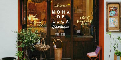 The Paris Editorial Script Font Poster 6