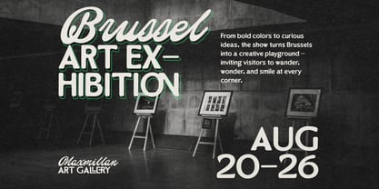 The Paris Editorial Script Font Poster 4