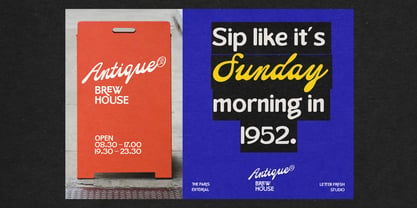 The Paris Editorial Script Font Poster 9