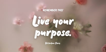 Bitterlove Story Font Poster 9