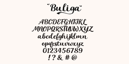 Buliga Font Poster 8