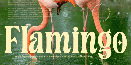Cahileros Font Poster 10