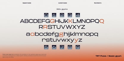 TRT Fluke Font Poster 2