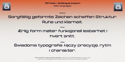 TRT Fluke Font Poster 15