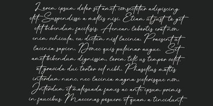 Ningetan Font Poster 4