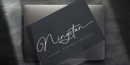 Ningetan Font Poster 7